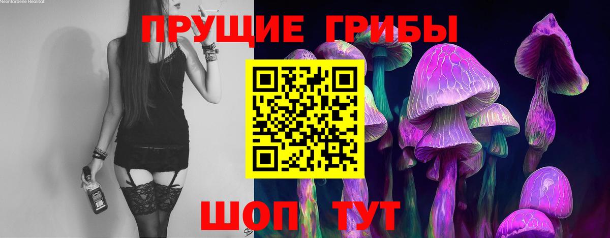 Псилоцибиновые грибы Cubensis  Псилоцибиновые грибы мухоморы  Шатура  Вход с VPN 